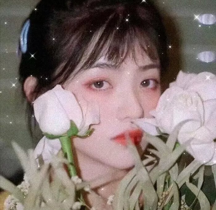 长腿女孩们